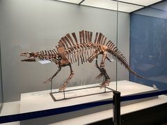 -湖南省地质博物馆