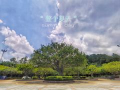 -广州莲花山旅游区