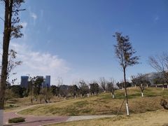 -桂溪生态公园