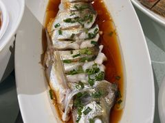 -金美华轩(东方路齐鲁店)