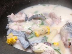 -鲜潭蒸汽石锅鱼(五道口购物中心店)