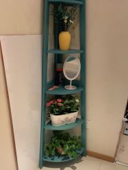 -薇兰专业脱毛连锁机构