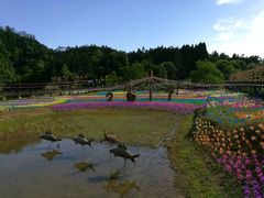 -千岛湖龙川湾