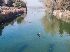 -颐和园
