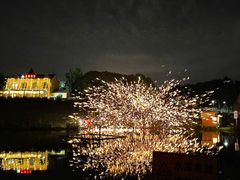 -大塘金香草谷