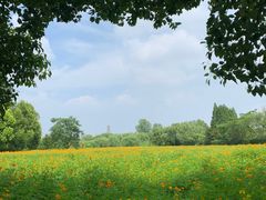 -祥源·阜阳生态乐园