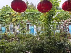 -姥家大锅台水库渔家