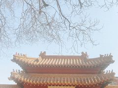 -桃花堤公园
