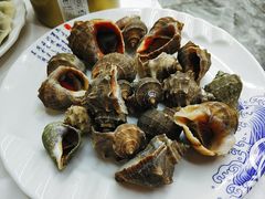 清蒸小海螺-北戴河庆山饭店·海鲜砂锅粥(北戴河黑石路店)