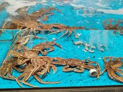 -艳阳天·非遗楚菜(武汉客厅店)