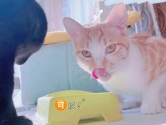 -吾家香港烧腊专门店