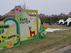 -新江湾城公园
