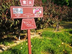 -永定河休闲森林公园