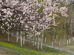 -长春世界雕塑园冰雪艺术天地