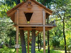 -北京西山国家森林公园