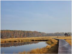 -塞罕坝国家级自然保护区