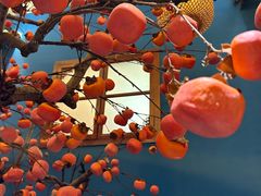 -肖记公安牛肉鱼杂馆· 省级非物质文化遗产(仁和路店)