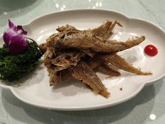 -金米箩大酒店(五角场店)