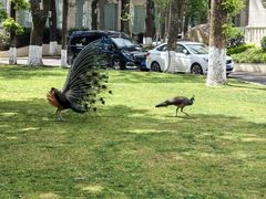 -西昌邛海宾馆