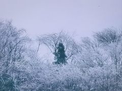 -四明山国家森林公园