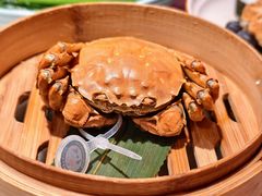 -点都德(锦粤壹号IFS国金店)