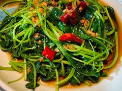 芥兰苗-佬肥猫(七宝宝龙店)