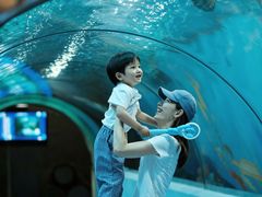 -合肥海洋世界