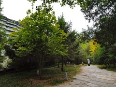 -周口店北京人遗址公园