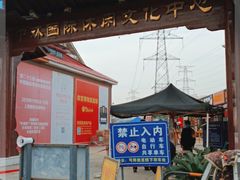 -中环花鸟鱼虫市场