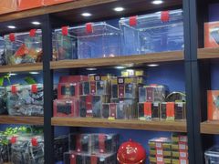 -棒棰岛辽参(长宁旗舰店)