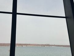 -抱抱地球咖啡馆(国家海洋博物馆店)