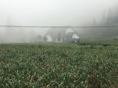 -云中大漈