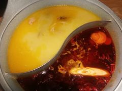 -青瓷火锅料理(西单大悦城店)