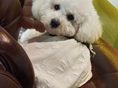 -默迹咖啡馆