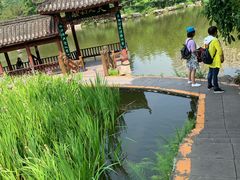 -龙头寺公园