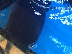-达蓬山大酒店西餐厅