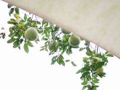 -云里小坐·小院里·团建·宴请·下午茶(三圣乡店)