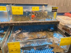 -雾·江·鲜建德菜