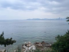 -养马岛旅游度假区