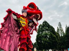 -龙口南山旅游景区