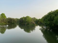 -西溪国家湿地公园