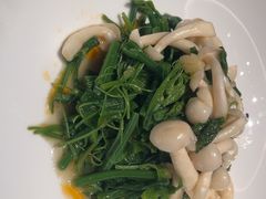 -鸽子侯·家宴·平价海鲜(绿地店)