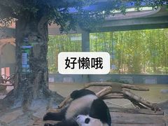 -海南热带野生动植物园