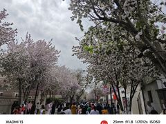 -天津五大道文化旅游区