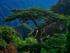 -圣莲山风景区
