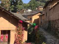 -杨家堂村