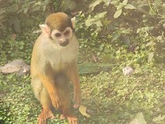 -上方山森林动物世界