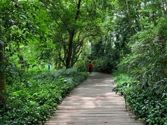 -广西壮族自治区药用植物园