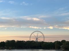 -石家庄市植物园