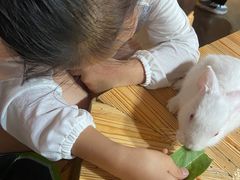 -昆明大悦城未来动物城(螺蛳湾中心店)